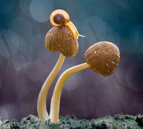 CC在线压力测试